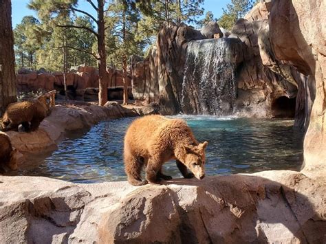 Zoos in arizona. Things To Know About Zoos in arizona. 